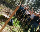 Reutlinger Unternehmen Solcom pflanzt eigenen Wald bei der Ruine Greifenstein