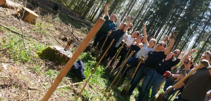 Reutlinger Unternehmen Solcom pflanzt eigenen Wald bei der Ruine Greifenstein